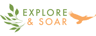Explore and Soar